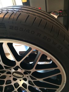 IMG_0981.JPG