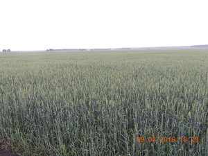 DSCN3901.JPG