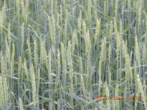 DSCN3902.JPG