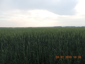 DSCN3903.JPG