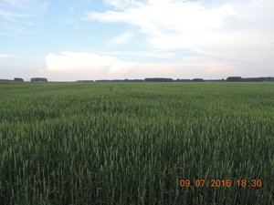 DSCN3904.JPG