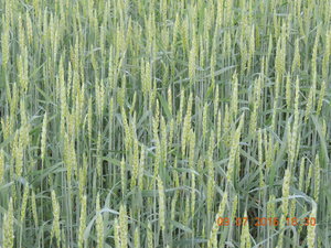DSCN3905.JPG