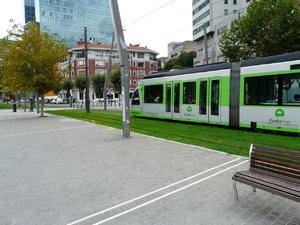 P1010554.jpg