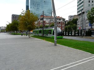 P1010555.jpg