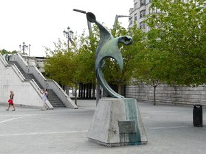 P1010564.jpg