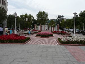 P1010607.jpg