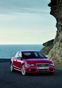 S4080006_large.jpg