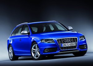 S4080020_large.jpg