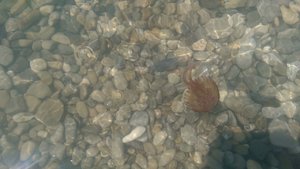 IMG-20160728-WA0000.jpg