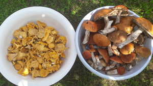 20160729_122821.jpg
