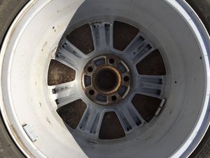 IMG_7750.JPG