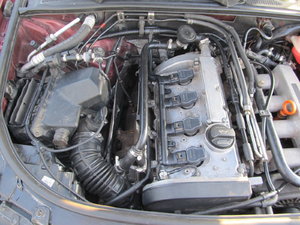 IMG_2762.JPG
