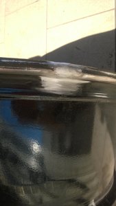 WP_20160709_011.jpg