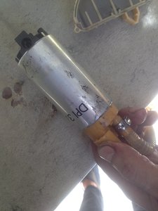 image.jpeg