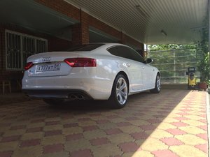 IMG_4833.JPG