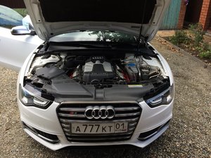 IMG_4973.JPG