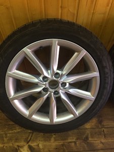 IMG_4329.JPG