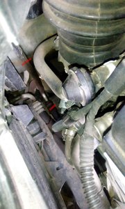 IMG_20160829_124108.jpg
