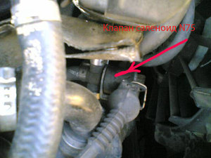 Image(355) .jpg