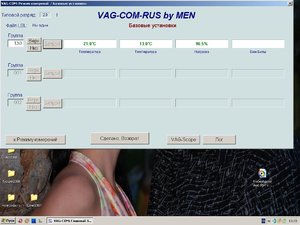 vagcom.JPG