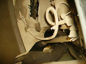 PICT0828.JPG