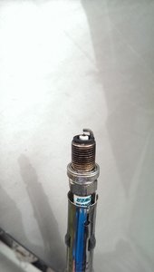 IMAG2487.jpg