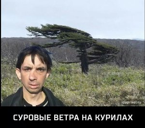 image.jpeg