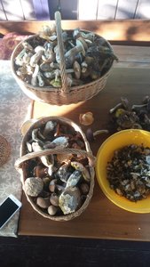 IMG-20160828-WA0003.jpeg