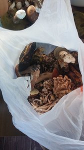 IMG-20160828-WA0005.jpeg