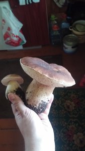 20160820_124704.jpg