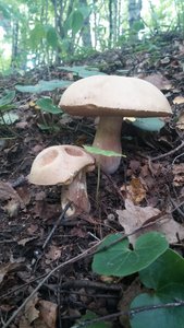 20160903_145158.jpg