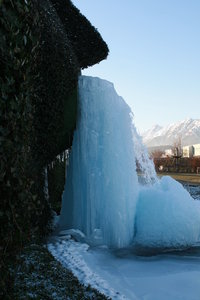 IMG_5938.JPG