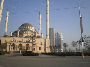 PB240113.JPG