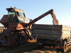 DSCN4030.JPG