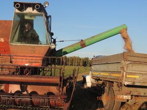 DSCN4027.JPG