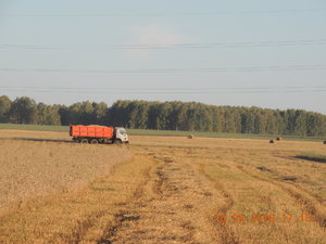 DSCN4014.JPG