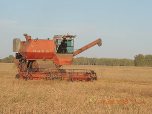 DSCN4012.JPG