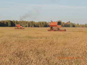 DSCN4011.JPG