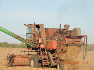 DSCN4010.JPG