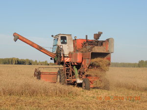 DSCN4008.JPG