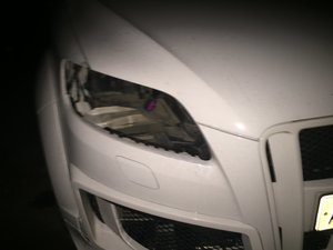 IMG_6485.JPG