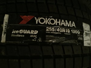 IMG_6784.JPG