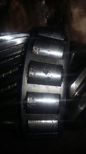 IMG-20160928-WA0016.jpg