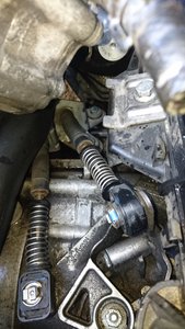 DSC_1199.JPG