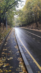 20160930_142203.jpg