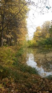 20161002_140046.jpg