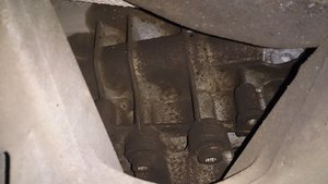 DSC_1359[1].JPG