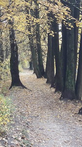 20161003_122611.jpg