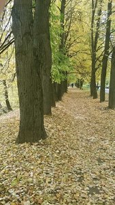 20161002.jpg