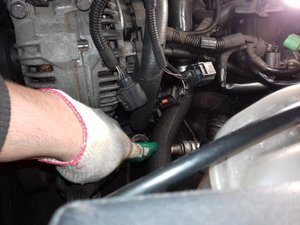 IMG-20161011-WA0004.jpeg